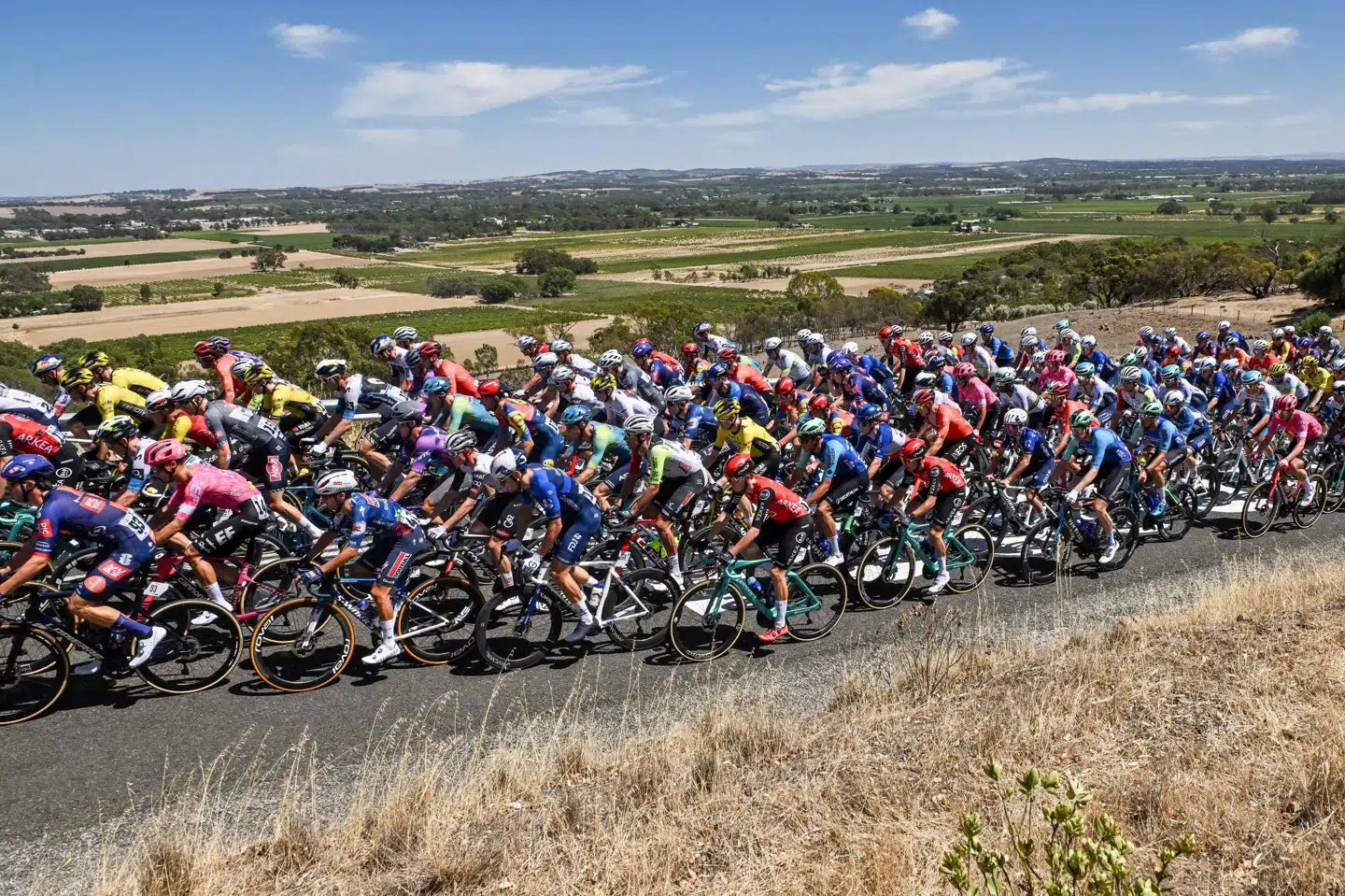 Christian Kornum har ikke kørt professionelt endnu.