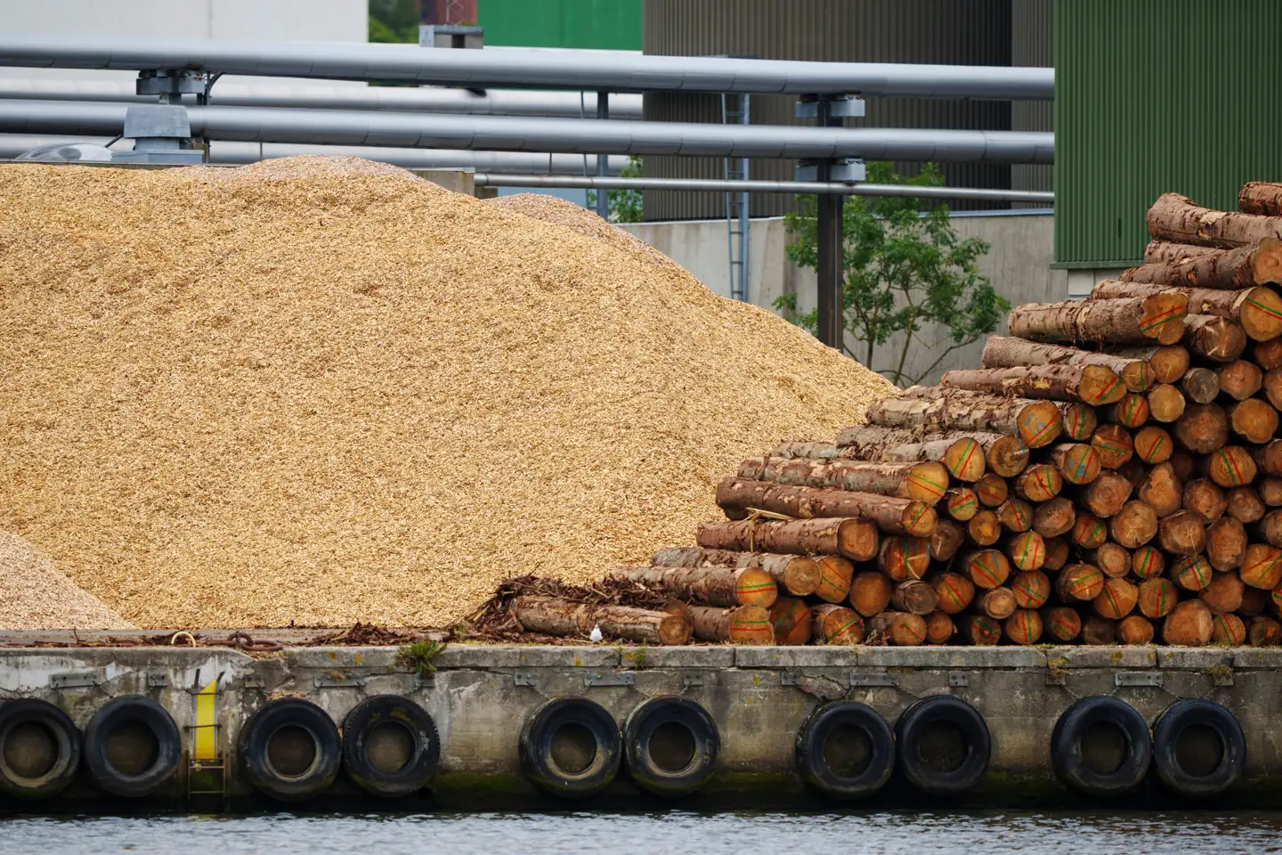 »Træflis fra de danske skove er desuden meget tæt på at være CO₂-neutral, idet der kun er en lille udledning af CO₂ i forbindelse med træernes fældning, bearbejdning og transport,« skriver forfatterne bag kommentaren.