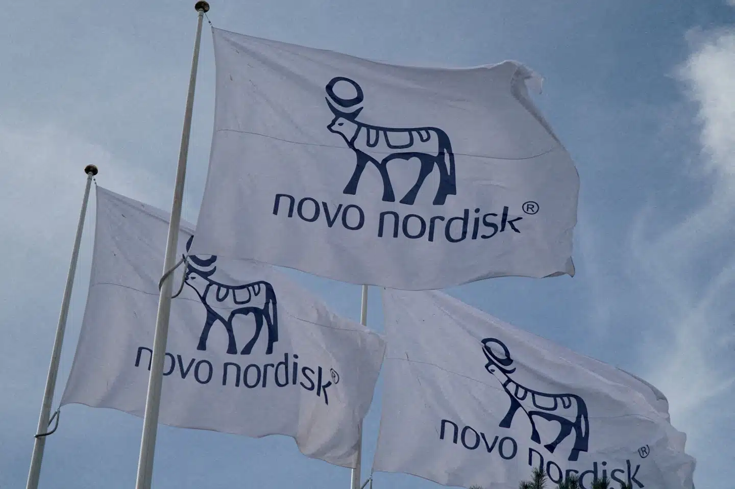 Novo Nordisk har fredag fremlagt de fulde resultater af de første testfaser af vægttabsstoffet amycretin. (Arkivfoto).
