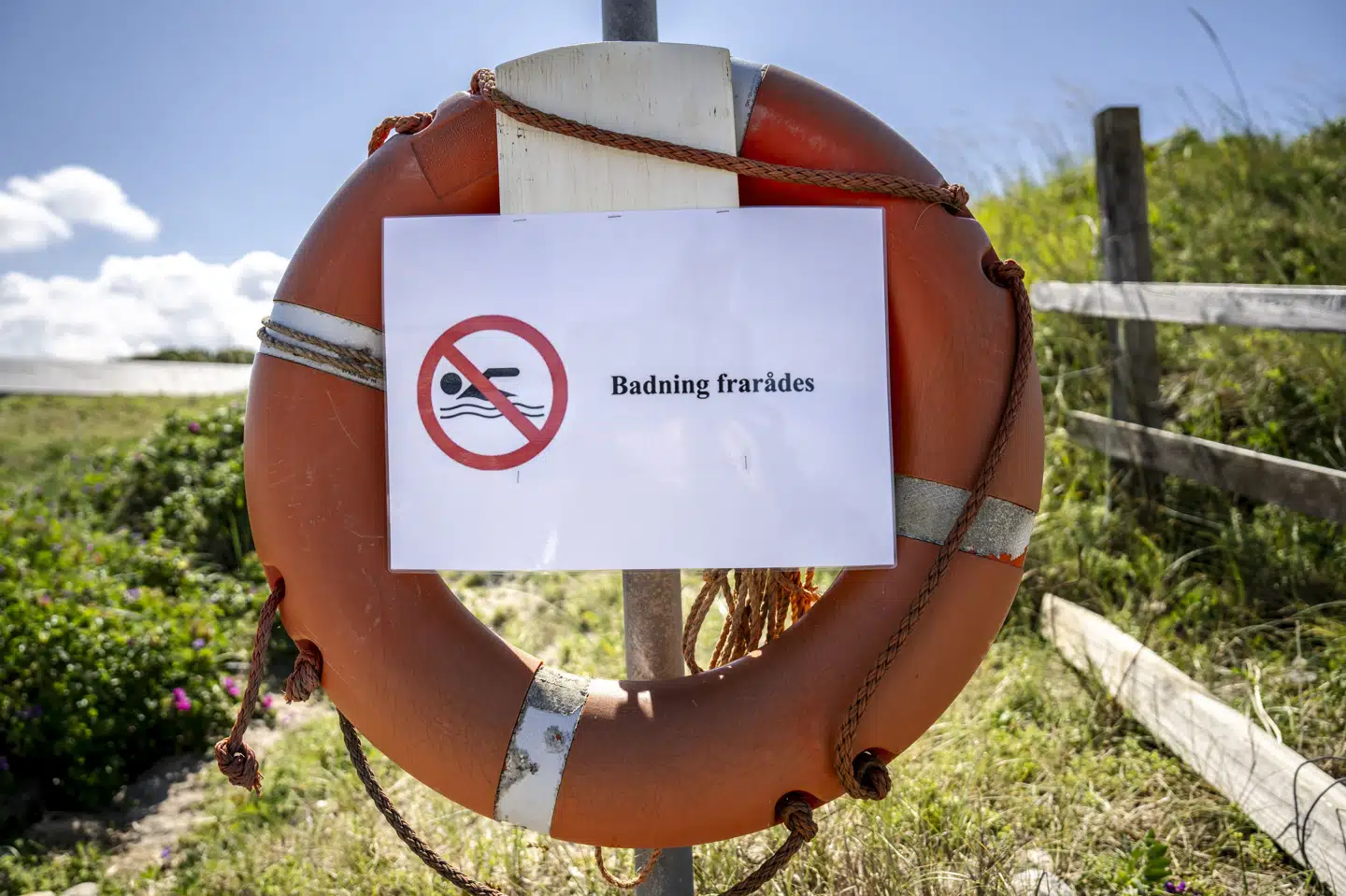 Hvis man gerne vil bade ved tre nordsjællandske strande i weekendens solskin, bliver man mødt af "badning frarådes" skilte. Billedet er fra en anden strand og er taget i 2024. (Arkivfoto).