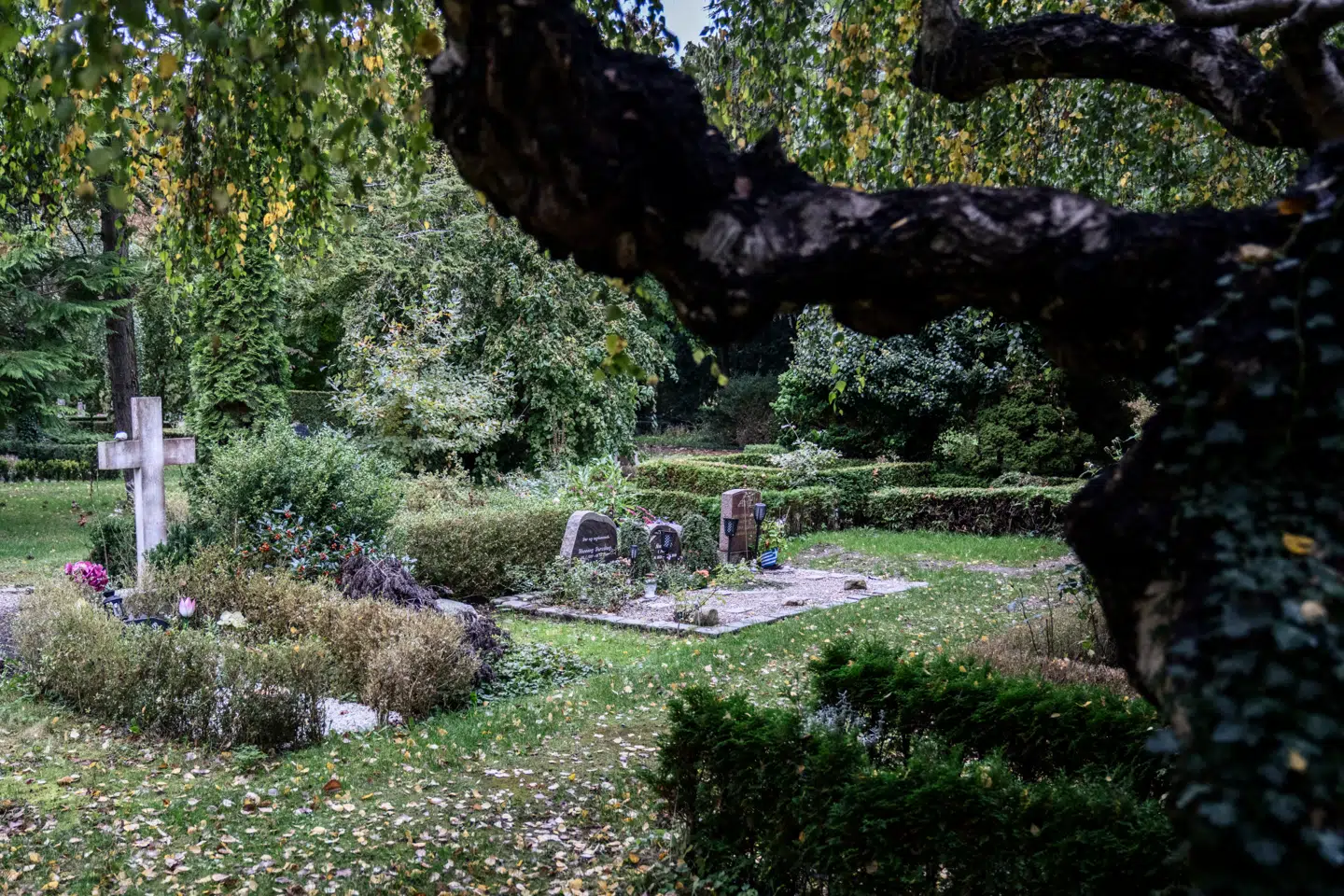 Advokat Allan Ohms får tit spørgsmål fra efterlevende, der har valgt uskiftet bo, hvor familierne håber, at der kan gives gaver »fra begge forældre«, selvom kun én af dem er i live.