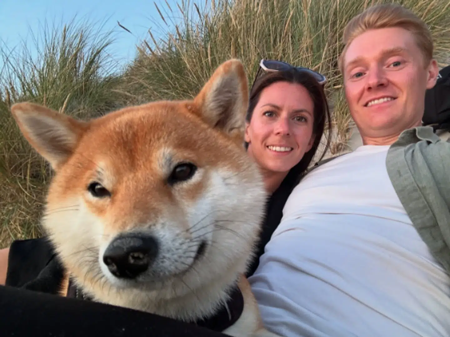 Den toårige hund Nala overlevede ikke sit møde med en åben brønd. Derfor bønfalder hendes ejere nu alle om at tjekke, at deres brønde er forsvarligt lukkede. Foto: nala_shiba_in_aarhus / Privat