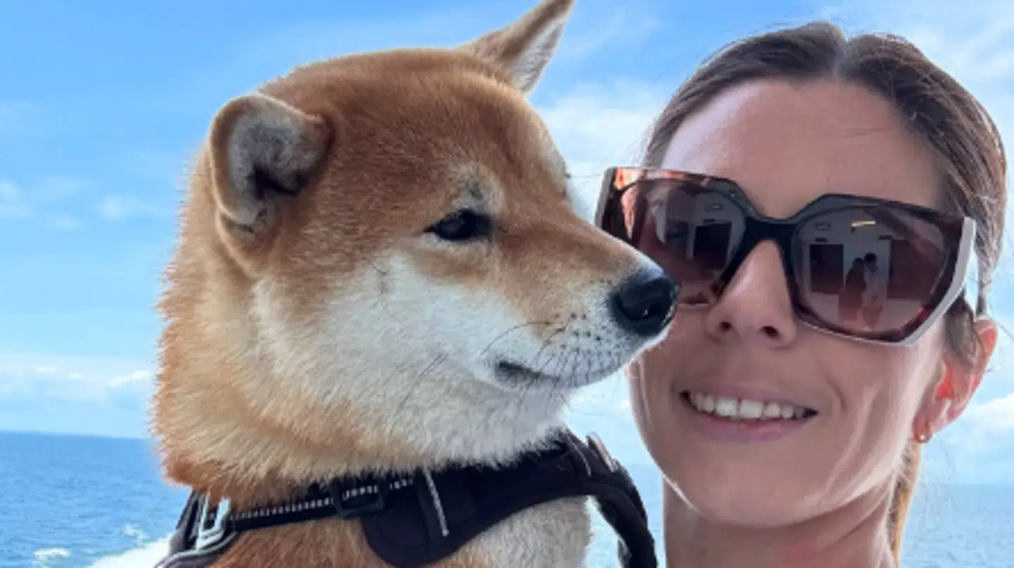 Den toårige hund Nala overlevede ikke sit møde med en åben brønd. Derfor bønfalder hendes ejere nu alle om at tjekke, at deres brønde er forsvarligt lukkede. Foto: nala_shiba_in_aarhus / Privat