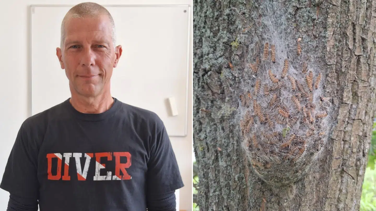 Her ses Morten Pihlsbech og en af de 75 reder med 'Larver fra helvede'', han tirsdag så på en gåtur i Odense.