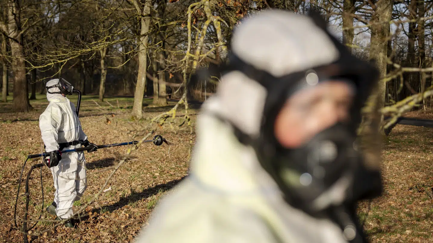 Her ses folk med masker og heldragter fjerne op mod 1000 reder, 'Larven fra helvede' havde lavet i Odense Kommune.