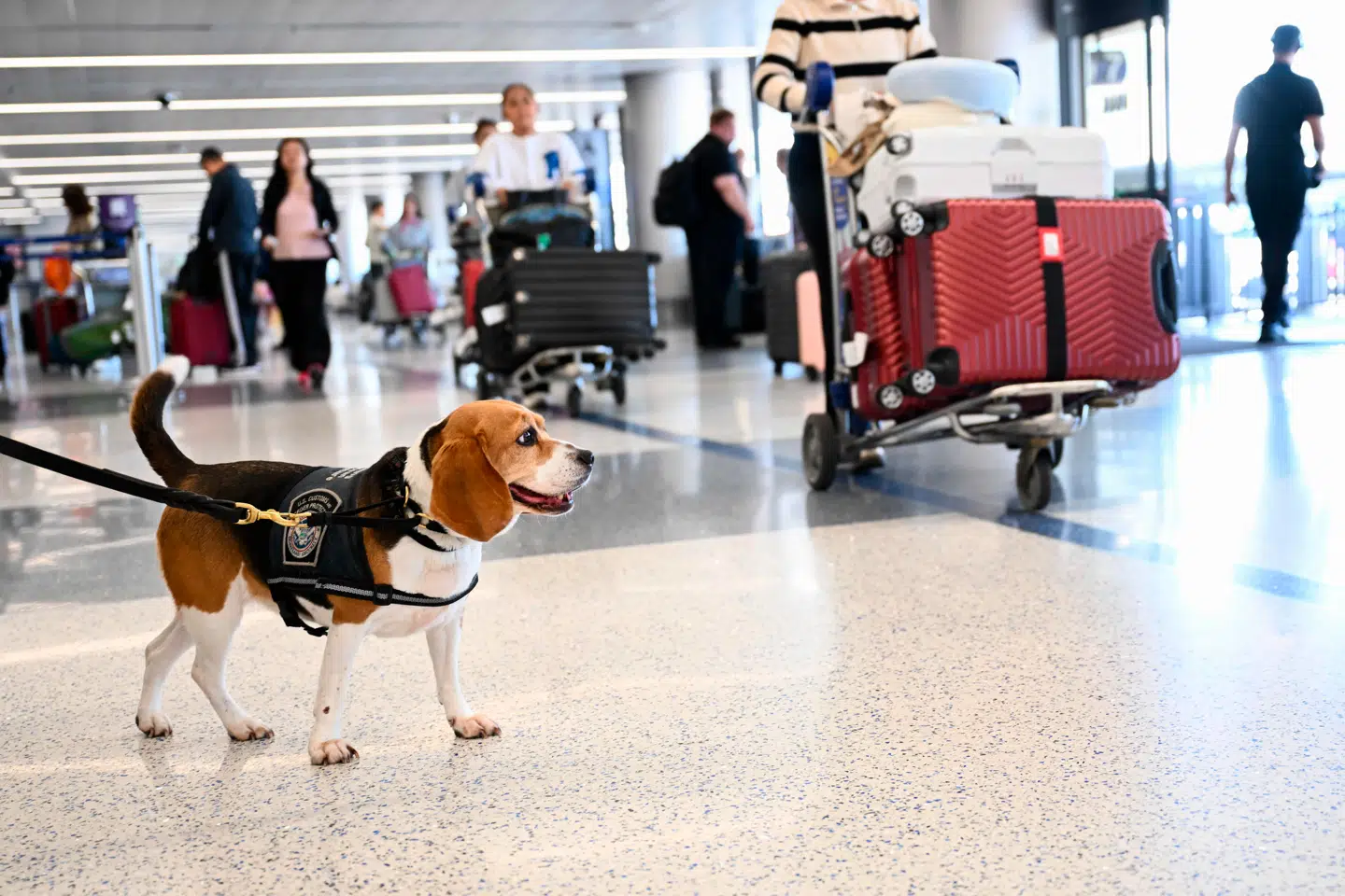 Det var grænsepolitiet i Newark lufthavn i New Jersey, der nægtede den unge nordmand at rejse ind i landet.