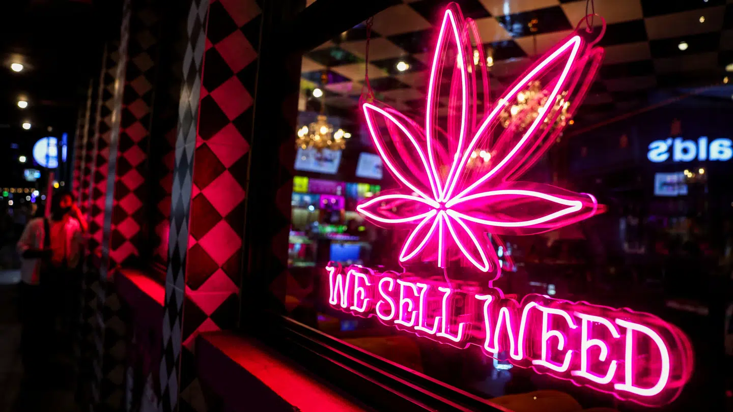 Overalt i Bangkok er der skudt butikker op, der helt lovligt sælger cannabis til turisterne. (Arkivfoto)