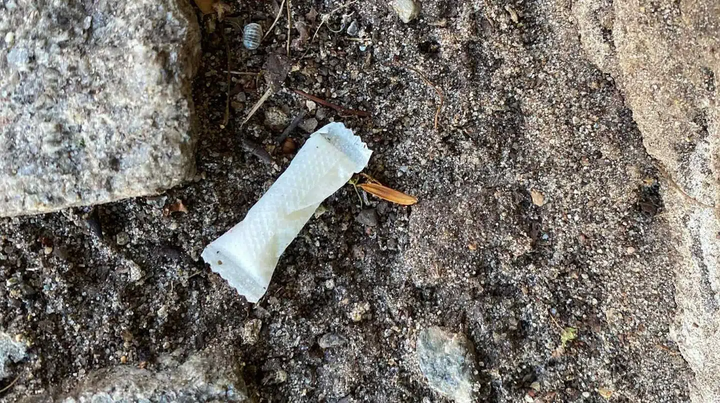 Her ses en pose med nikotin ved busstoppestedet 25 meter fra Rina Daugaard Nielsens hjem. Hendes dobermann spiste en nikotinpose og døde efterfølgende.