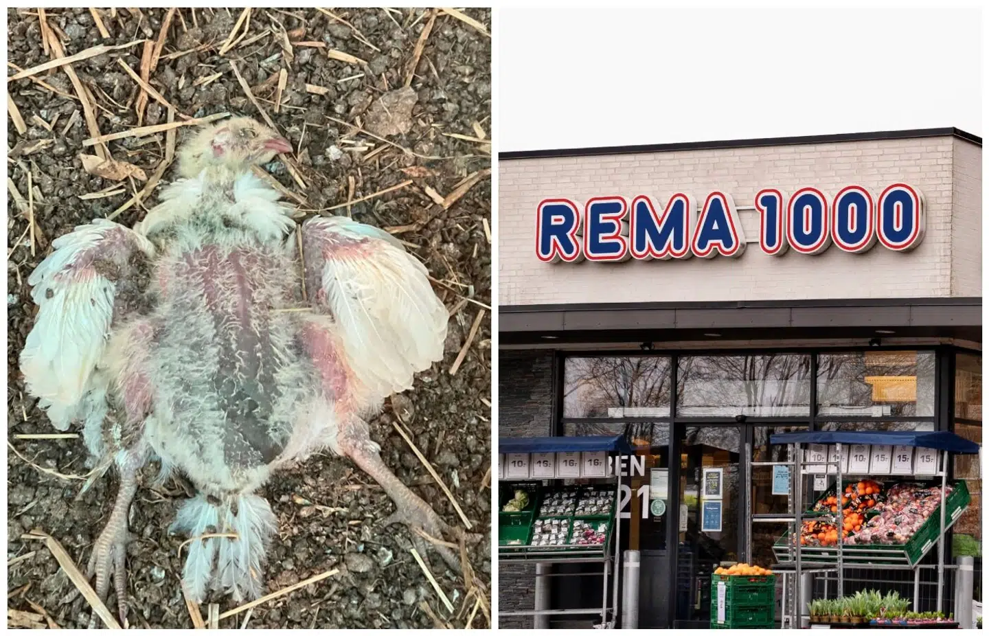 Myndighederne har været efter Rokkedahl i årevis, men det ændre intet for Rema 1000.