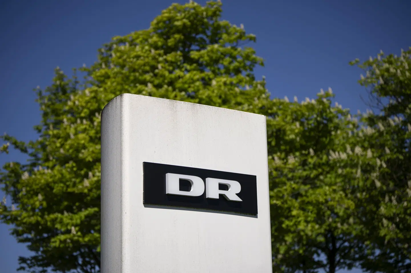 Hvis man vil se andet indhold end livekanaler på DRTV, er det nødvendigt at logge ind på platformen. Det har medført kritik - blandt andet fra it-foreningen Prosa. (Arkivfoto).