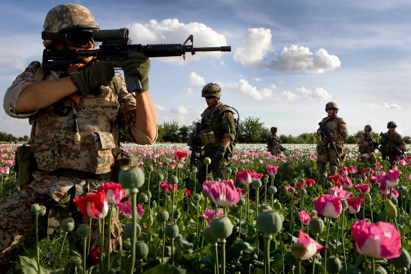 Danskerne er i meget højere grad end eksempelvis franskmændene villige til at forsvare deres land i tilfælde af et angreb.