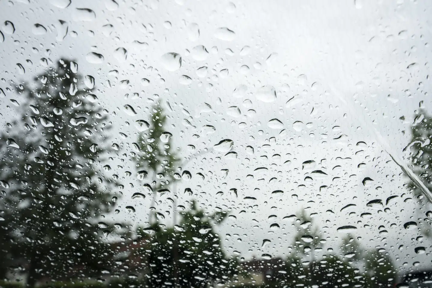 Onsdag aften varsler DMI, at det østlige Danmark kan blive ramt af kraftige regn- og tordenbyger. Derfor har instituttet udsendt et varsel om farligt vejr. (Arkivfoto).