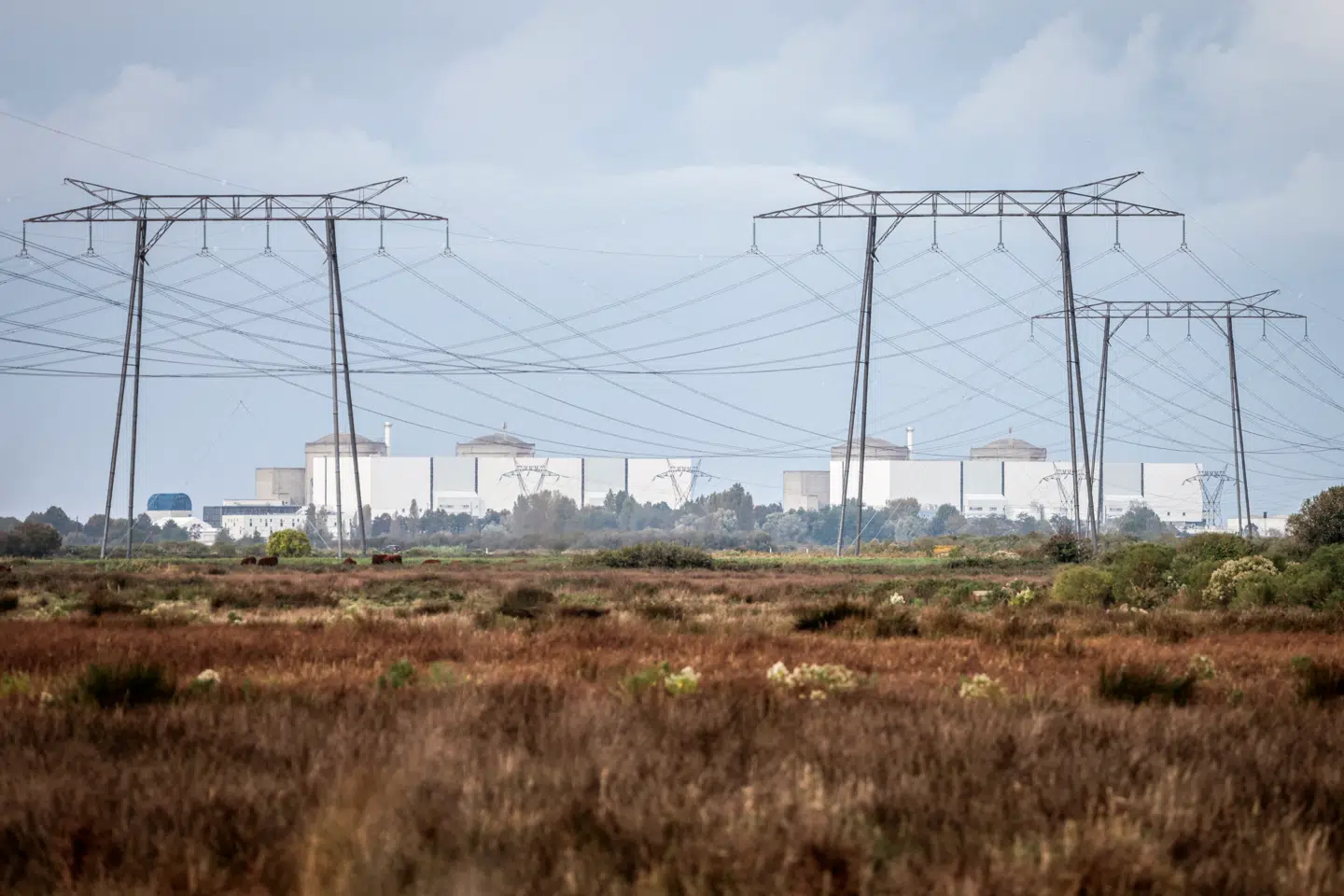 Blayais-atomkraftværket ved den franske flod Gironde skruede mandag ned for sin elproduktion i lyset af den hedebølge, der i denne uge skyllede ind over Europa.