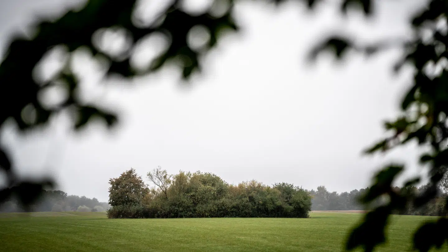 Hvis du havde håbet på, at solen ville titte frem, er der dårligt nyt.