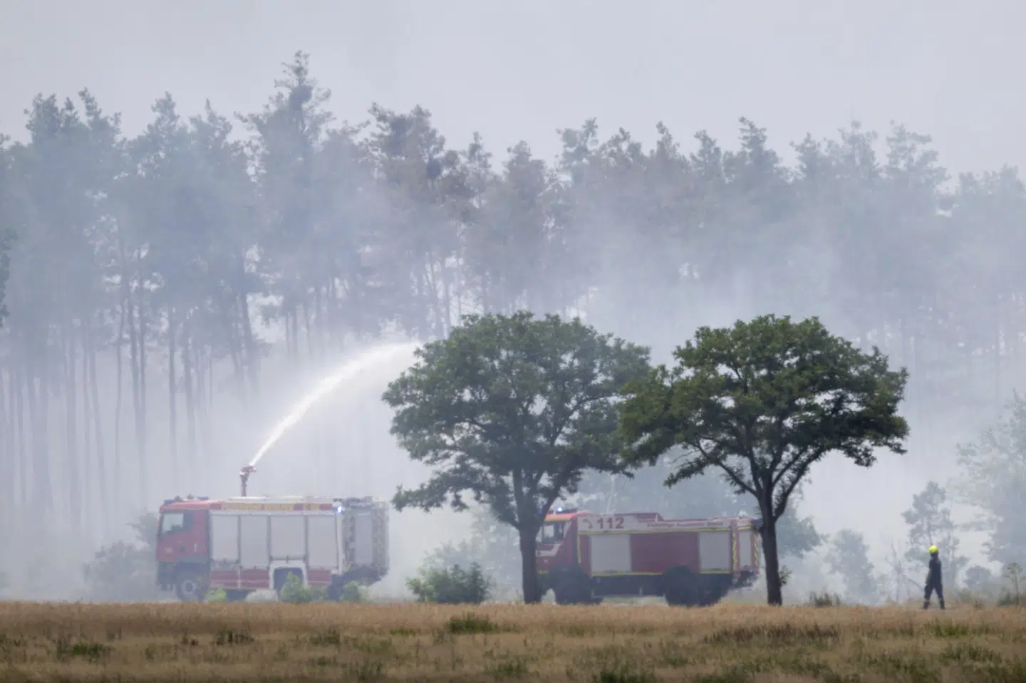 Brandvæsnet har i flere dage kæmpet med slukningsarbejdet i Gohrischheide i den tyske delstat Sachsen.