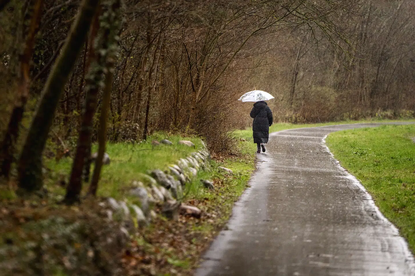 Søndag aften og nat kan først Sydsjælland, Lolland og Falster, og siden resten af Sjælland, blive ramt af kraftig regn og lokale skybrud. (Arkivfoto).