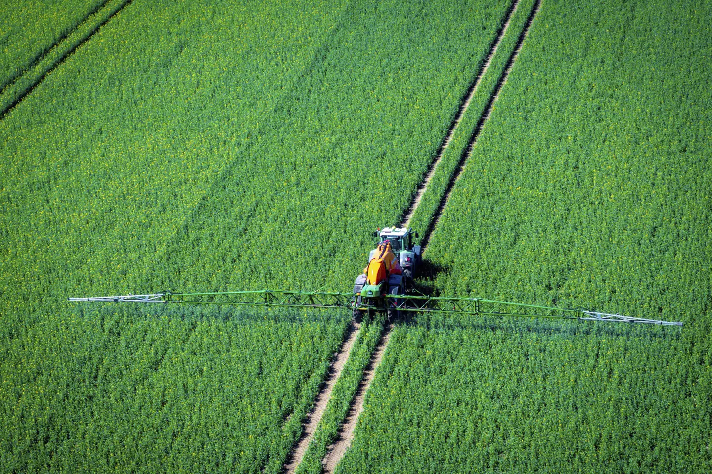 23 sprøjtemidler med PFAS-aktivstoffer forbydes. Det sker på baggrund af ny viden om, at stofferne nedbrydes til stoffet TFA. (Arkivfoto).