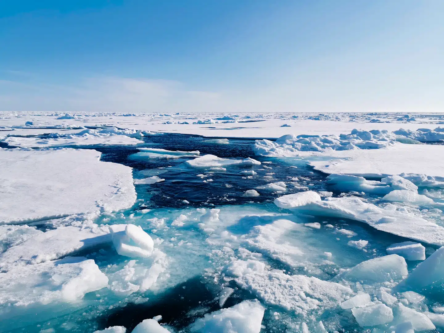 Et nyt studie afdækker Ishavets frosne fortid. Foto: Morven Muilwijk, Scanpix