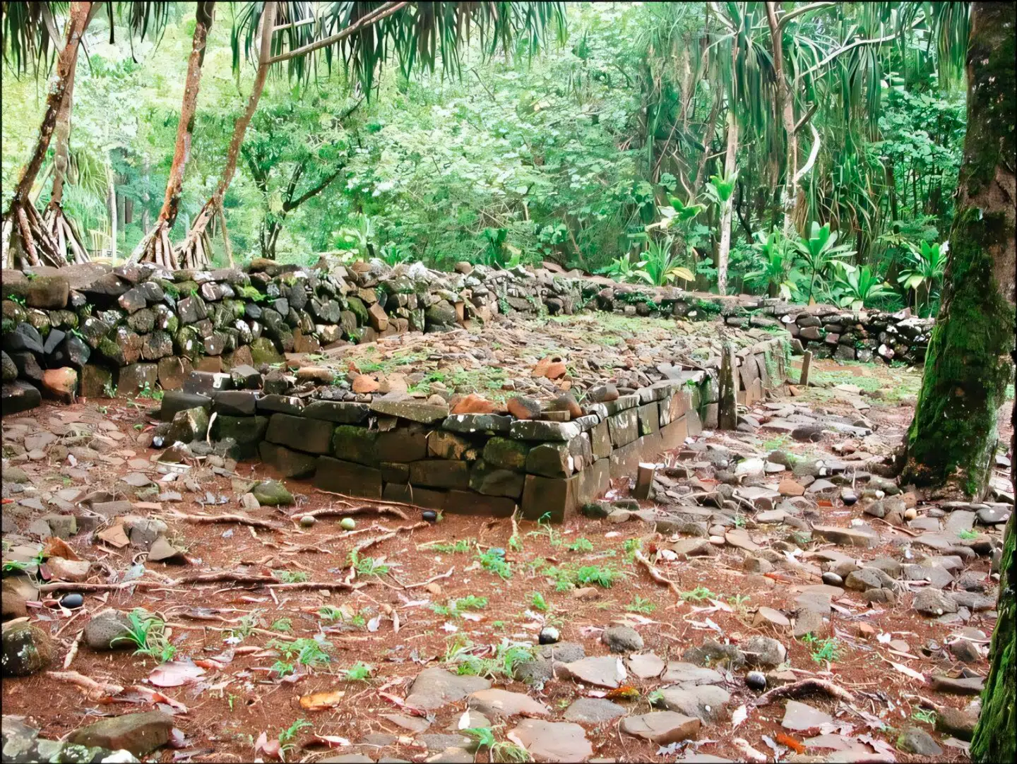 De såkaldte ahu-platforme var en del af Påskeøens monumentkultur. Foto: Antiquity