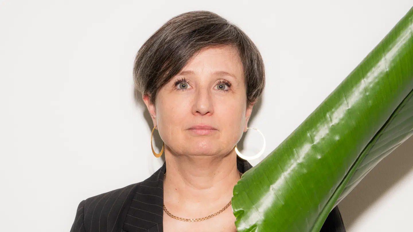 'Det er ekstremt, at højrefløjen ikke fatter, hvad armslængde er. Det er ellers et grundprincip, og vi politikere ikke skal blande os i ansættelser,' siger Faxe til B.T.