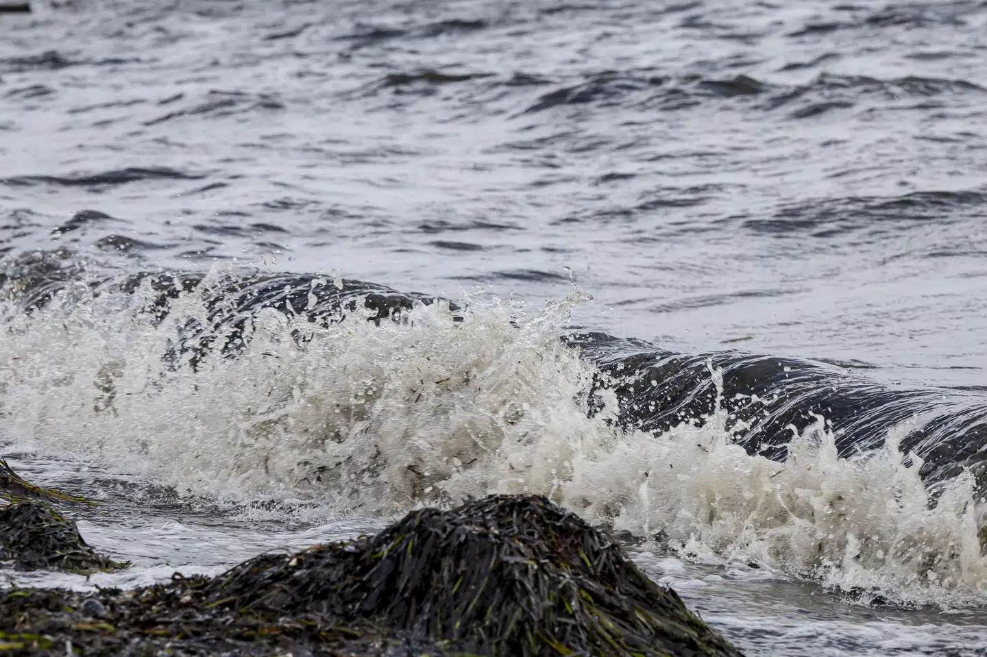 Danmark kunne bruge EU-lovgivning til at rette op på dårlig vandkvalitet, men i stedet skubber regeringen forpligtelser og regler foran sig, og det er et udtryk for minimumsimplementering, mener grønne aktører. De opfordrer i et fælles opråb regeringen til at droppe principper om at holde sig til minimumskrav i EU-regulering. (Arkivfoto).