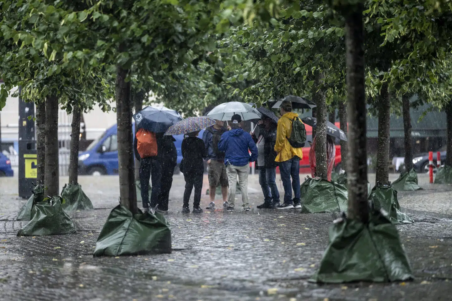 Det kan godt betale sig at finde regnjakke og paraply frem, når man bevæger sig udenfor i begyndelsen af ugen. DMI melder om risiko for lokale skybrud, torden og kraftig regn for det meste af landet. Kun Bornholm ser ud til at gå fri. (Arkivfoto).