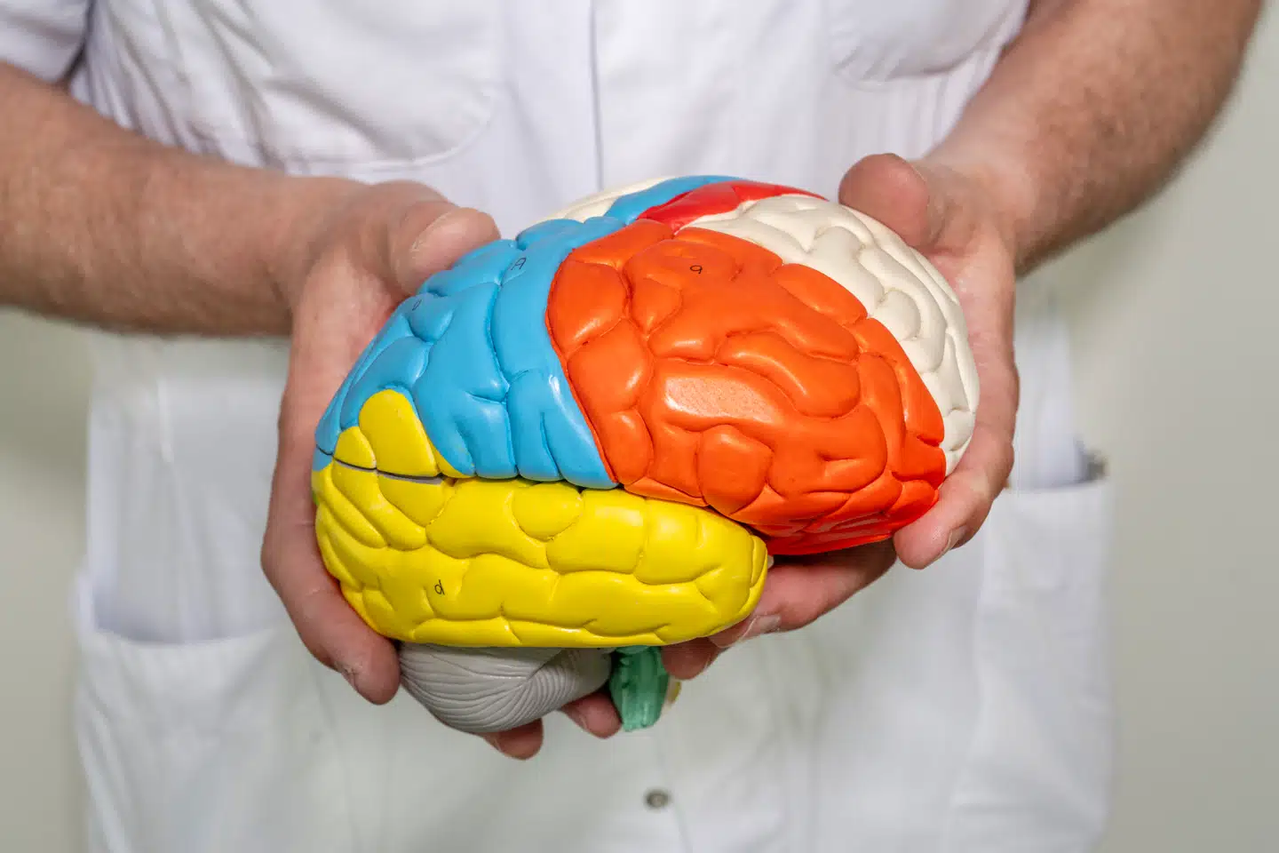 Et nyt studie viser sammenhængen mellem fedme og demens. Ifølge forsker er det ikke badevægten, man skal være mest opmærksom på.