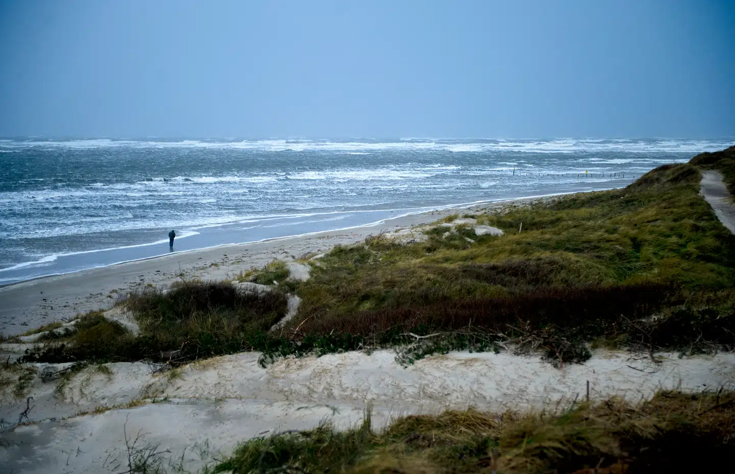 Når du deltager i dagens quiz, er du samtidig med i lodtrækningen om en præmie.