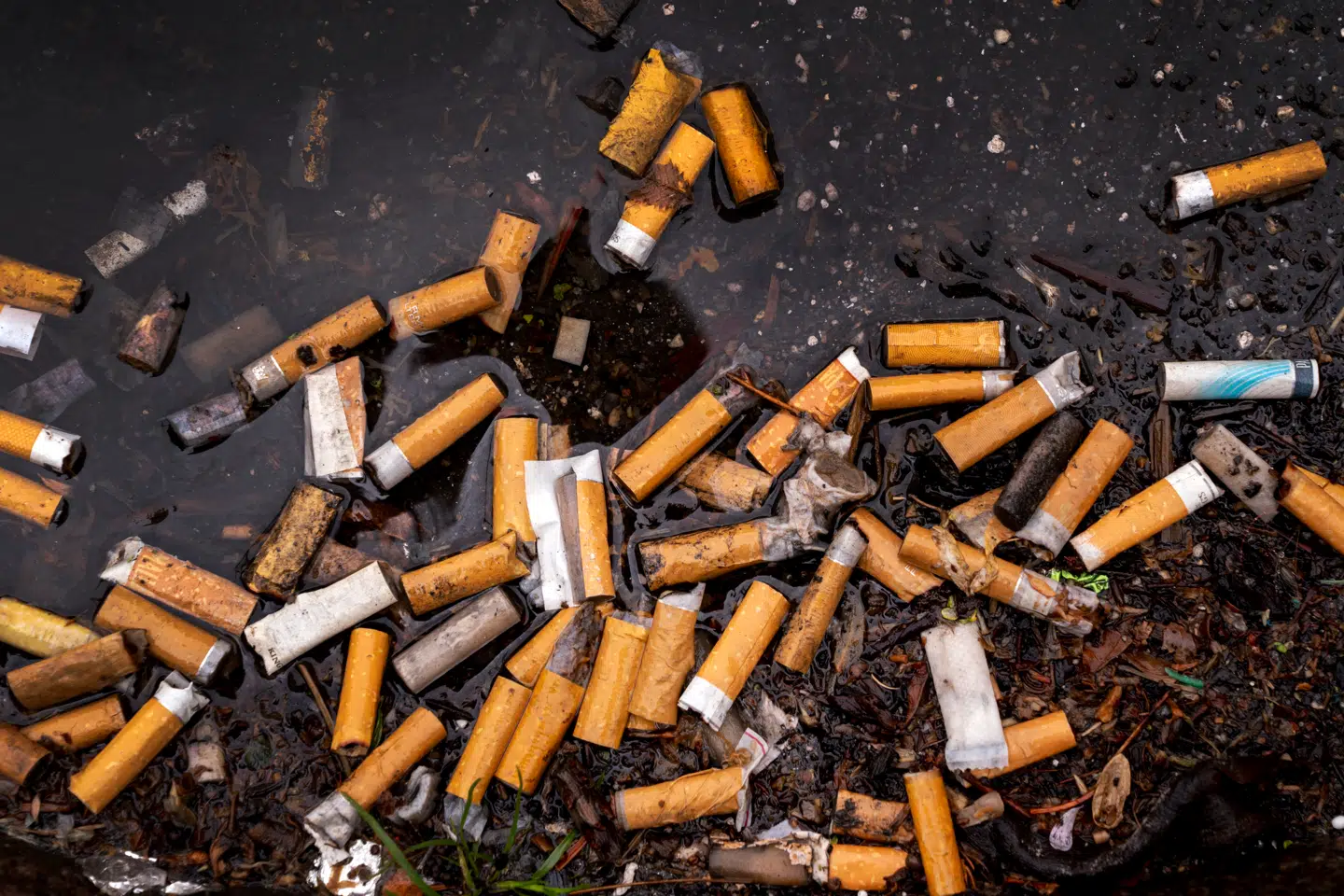 »Hvert år smides anslået 4,5 billioner cigaretskod i naturen globalt – det gør dem til det mest udbredte stykke affald i verden,« skriver Find Panton.