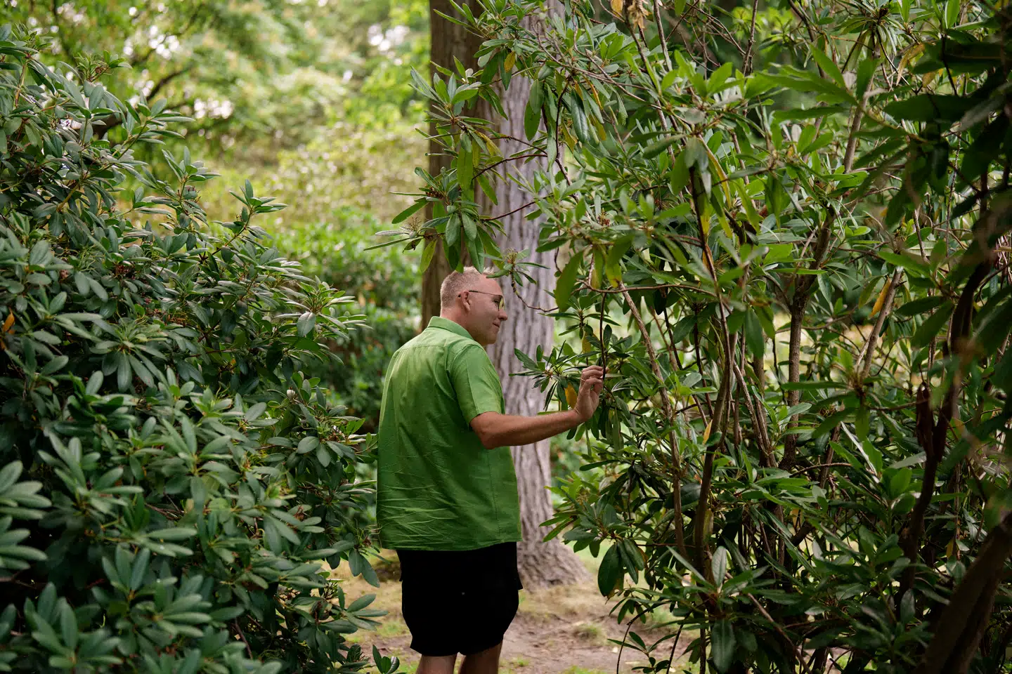 Nicolaj Stubbe Hørlyck er præst i Den Danske Kirke i Thailand. Hans arbejde består mest af alt af at afholde gudstjenester, men han agerer også samtalepartner for de mange danske mænd, der har valgt at bosætte sig permanent i landet.