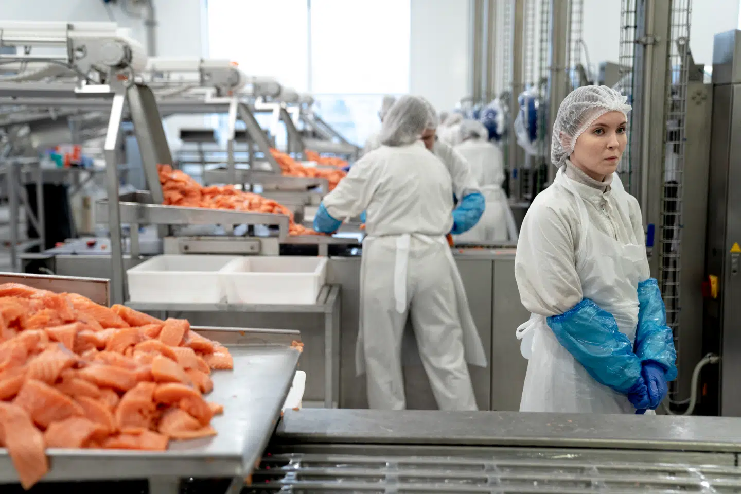 Bakkafrost blev grundlagt i 1968, og i dag Færøernes største lakseopdrætter, mens selskabet på verdensplan er verdens tredje største.