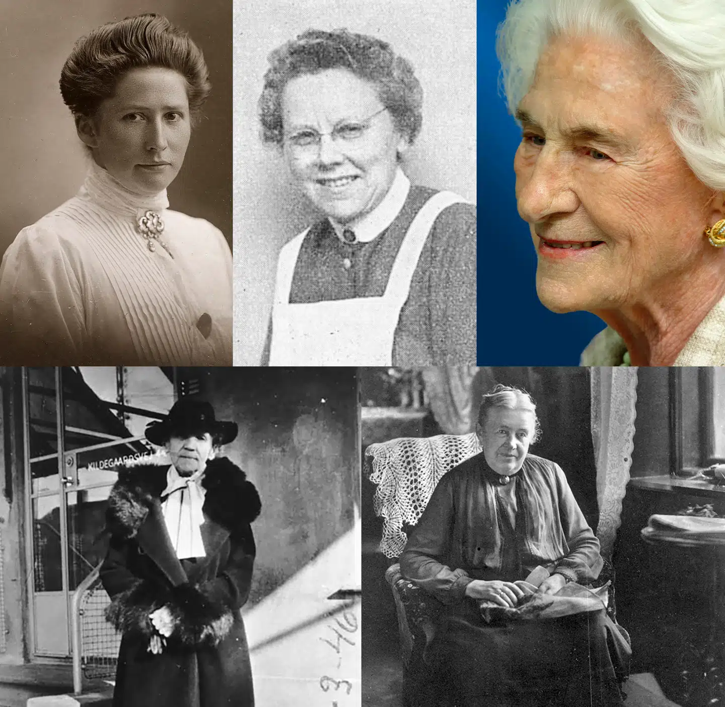 Her ses Brian Mikkelsens bud på, hvilke kvinder der fortjener en statue: Elisa Sørensen, Marie Krogh, Bitten Clausen, Oluffa Dahlerup Brandt og Karen Volf.