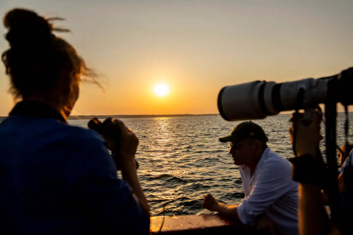 Nu varer det ikke længe. Snart ankommer de store sydlandske gæster til Øresund.