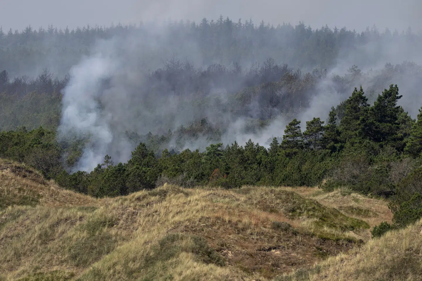Branden i Skagen Klitplantage, der ligger syd for Skagen, brød ud mandag eftermiddag. (Arkivfoto).