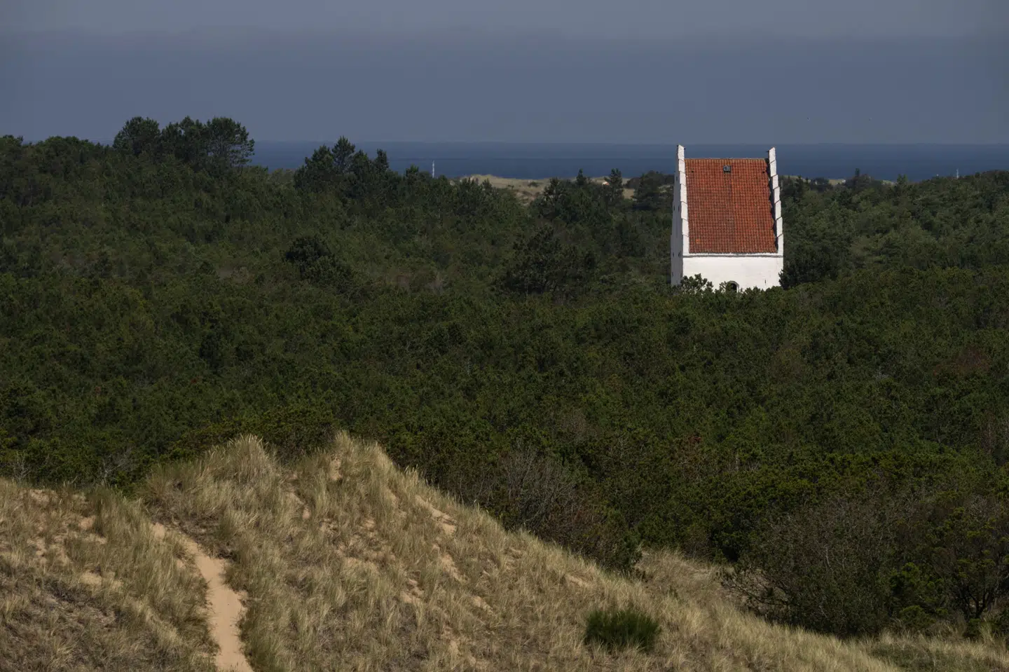 Siden mandag har Nordjyllands Beredskab arbejdet med brand i klitplantage i Skagen. Fredag arbejder man med at slukke såkaldte varmekilder, hvor der kan være gløder eller flammer. (Arkivfoto).