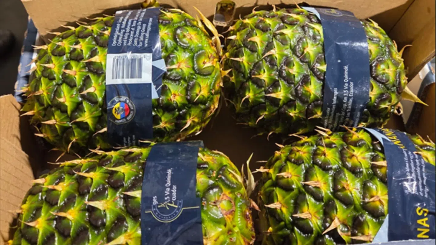 Sådan ser ananasen ud, når toppen er væk.