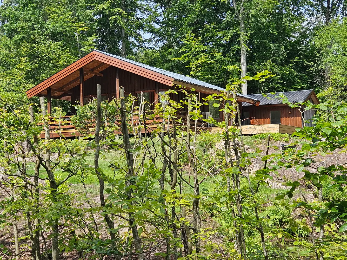 Huset ligger lidt på en top med store rhododendron. Jeg har plantet 17 flere – det er nemlig noget af det eneste, rådyrene ikke spiser.