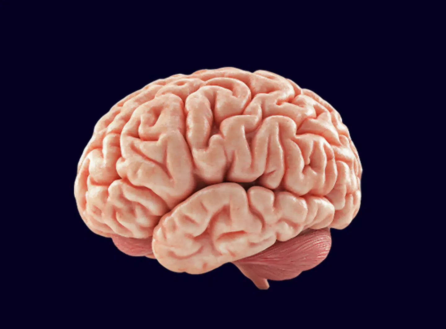 Fotocollage: Liv Lansner. Kildefoto: Adobe Stock