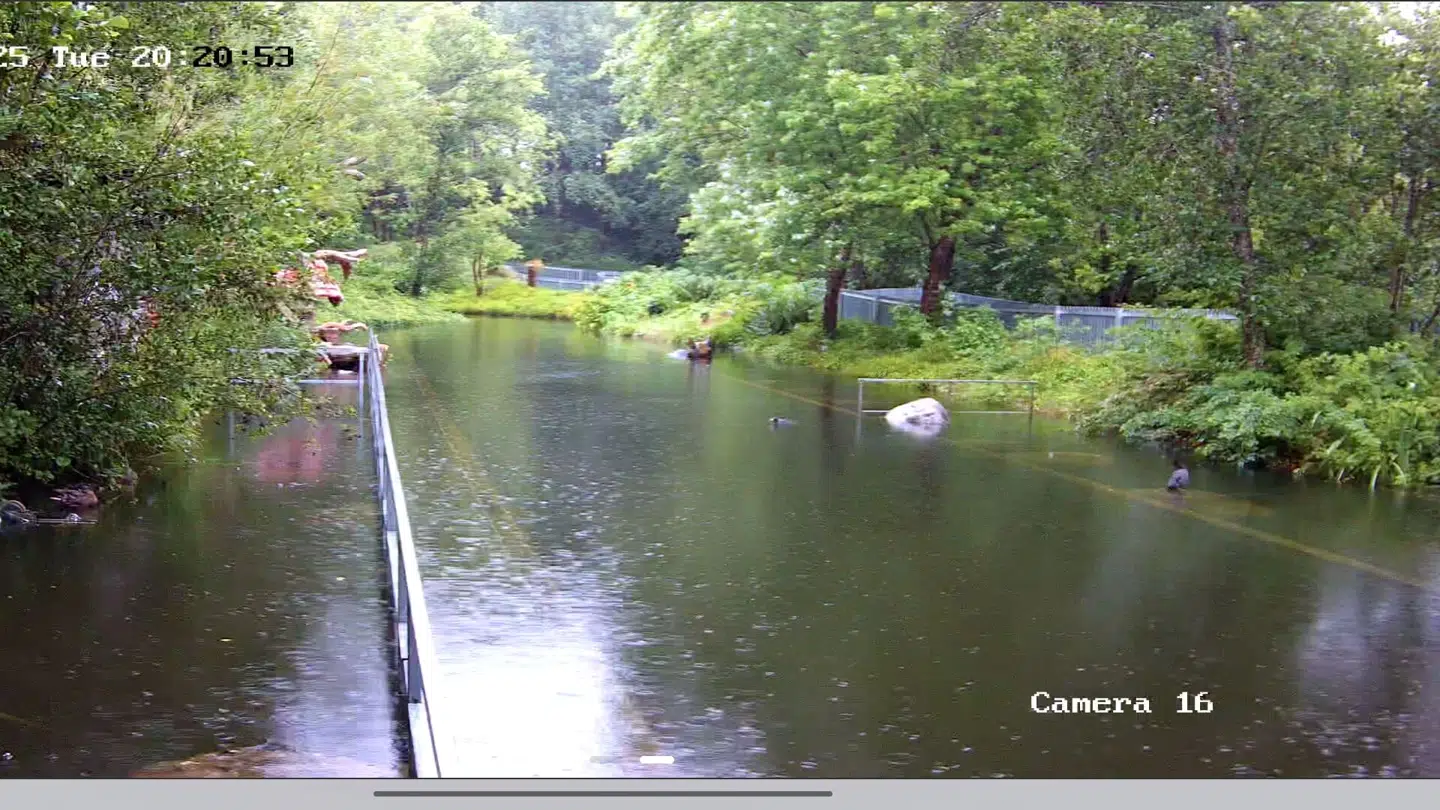 Sådan så Bonbon-Lands parkeringsplads ud onsdag aften.