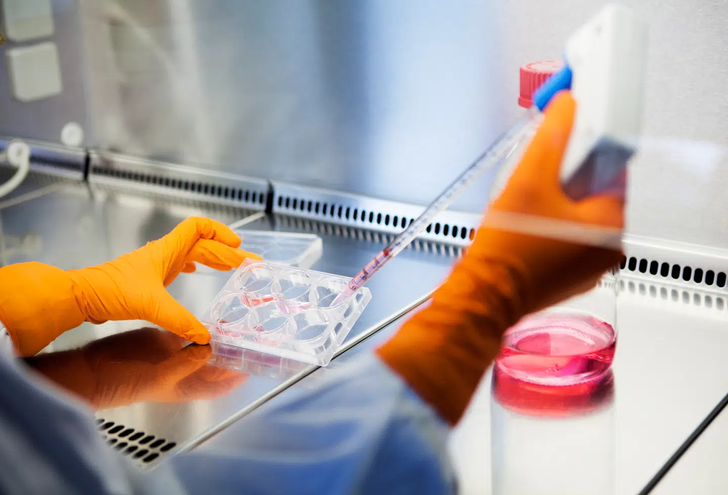 Bavarian Nordic, der blandt andet udvikler rejsevacciner, er kommet i søgelyset hos to kapitalfonde. Selskabet kunne fremlægge et rigtig godt regnskab for første kvartal i år.