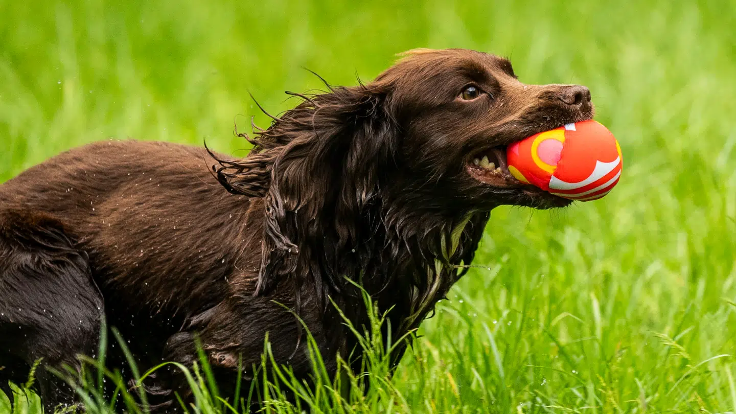 Nu bliver der advaret.