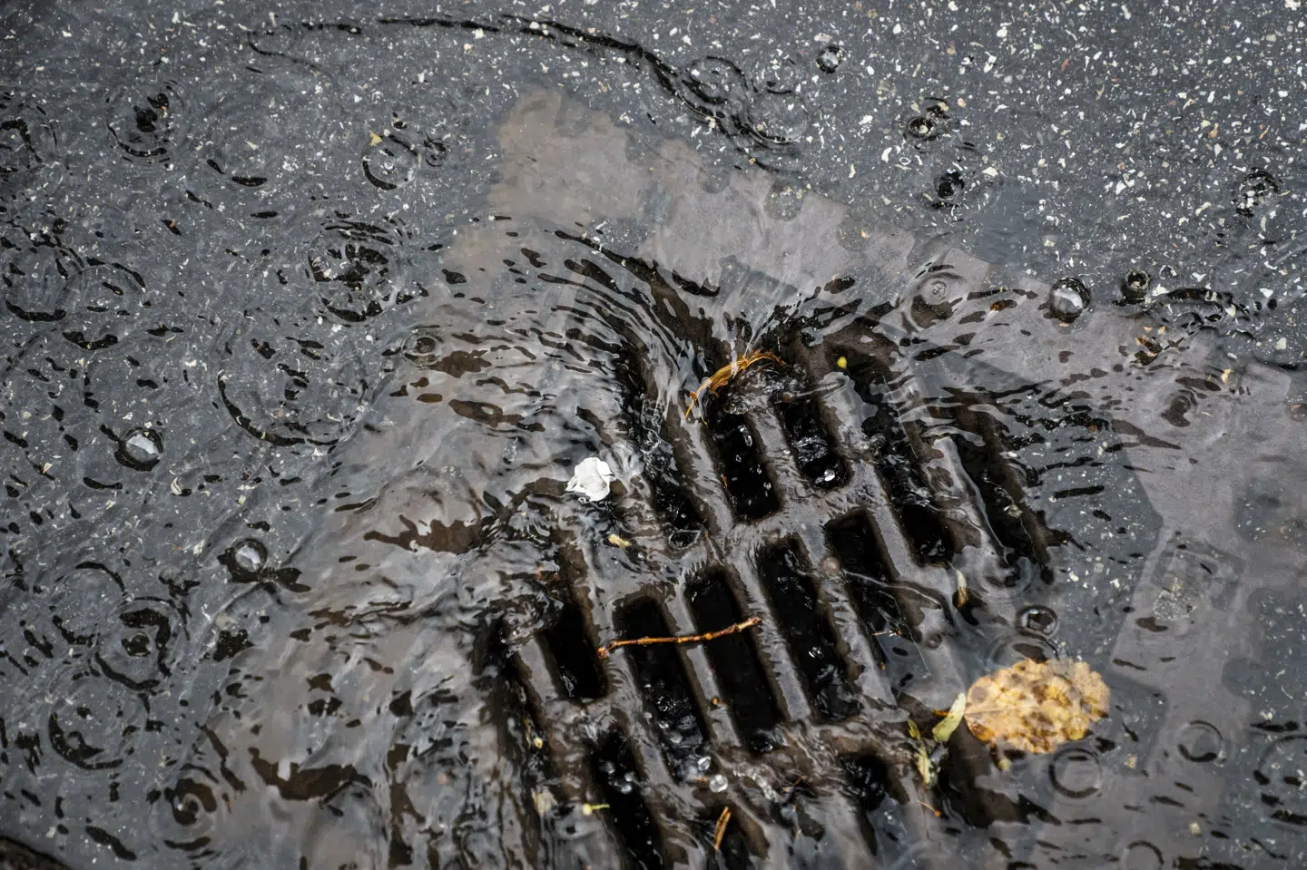 Store mængder regn skabte oversvømmelser flere steder i Esbjerg torsdag. Det betød blandt andet, at festivalen Grøn evakuerede sine gæster og aflyste dagens resterende koncerter. (Arkivfoto).