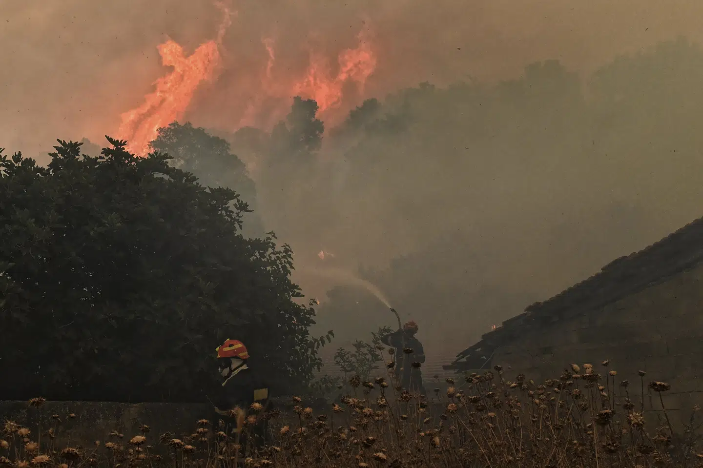 Brandfolk kæmpede tidligere på ugen mod en større skovbrand ved landsbyen Karteri, der ligger vest for Grækenlands hovedstad, Athen. Billedet er taget tirsdag.