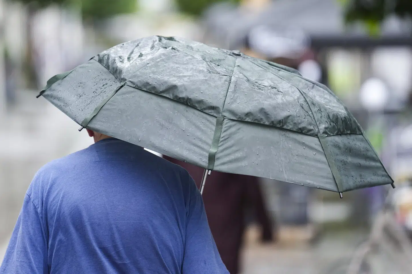 Store dele af Danmark var ramt af kraftig regn i sidste uge, nogle steder med skybrud. (Arkivfoto).