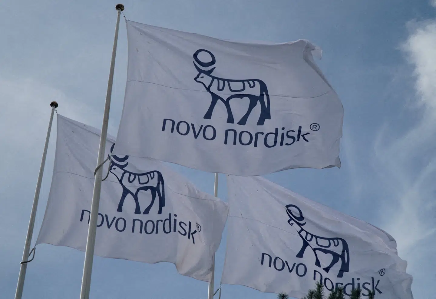Nyhedsstrømmen fra Novo Nordisk har ikke været videre positiv for investorerne det seneste år.
