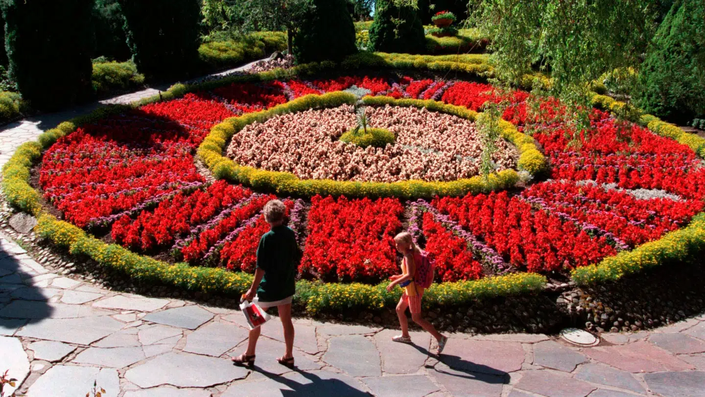 Børn i Jesperhus Blomsterpark på Mors har tirsdag eftermiddag drukket kølervæske i stedet for saftevand.