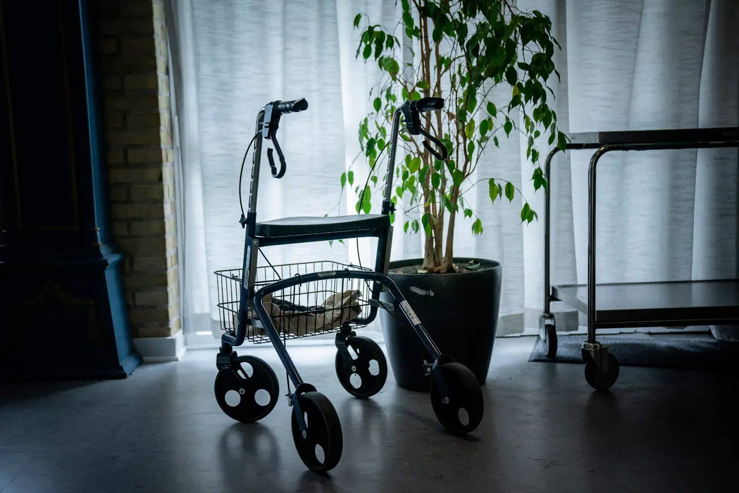 »Det, vi kalder frihed, er i virkeligheden et system, der har givet op. Vi har bygget en praksis op, hvor vi hellere vil lade mennesker forsvinde, end at tage ansvar for dem,« skriver Marianne Walter. Foto: Thomas Lekfeldt