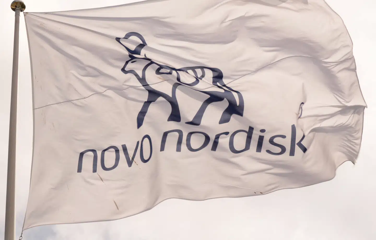 Novo Nordisk-aktien er faldet cirka 50 procent i løbet af året.
