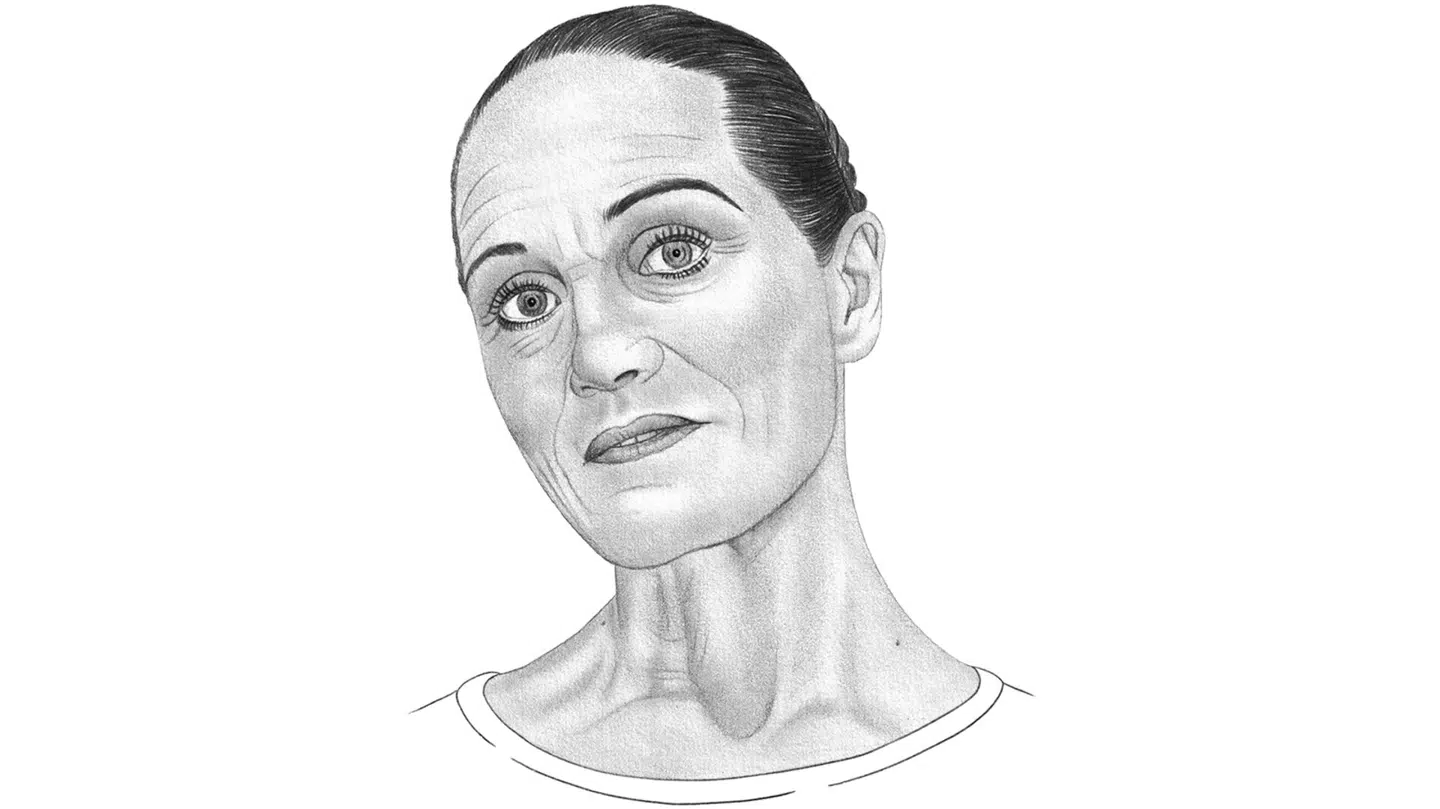 Illustration: Sine Jensen.