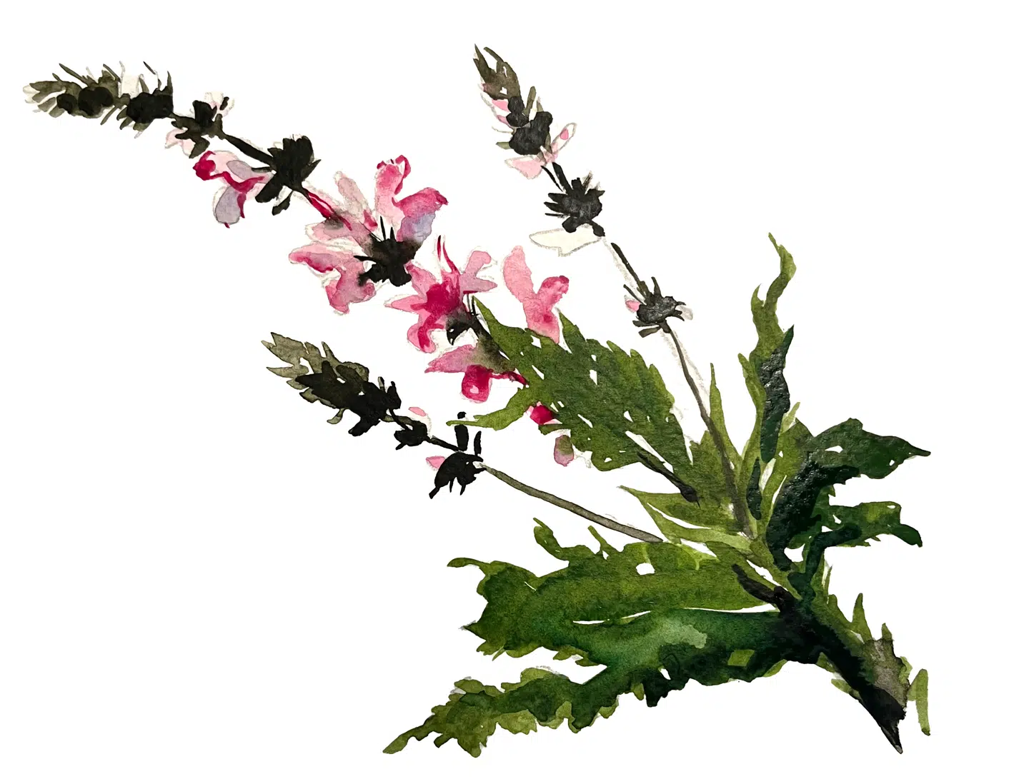 Illustration: Peter Wandel